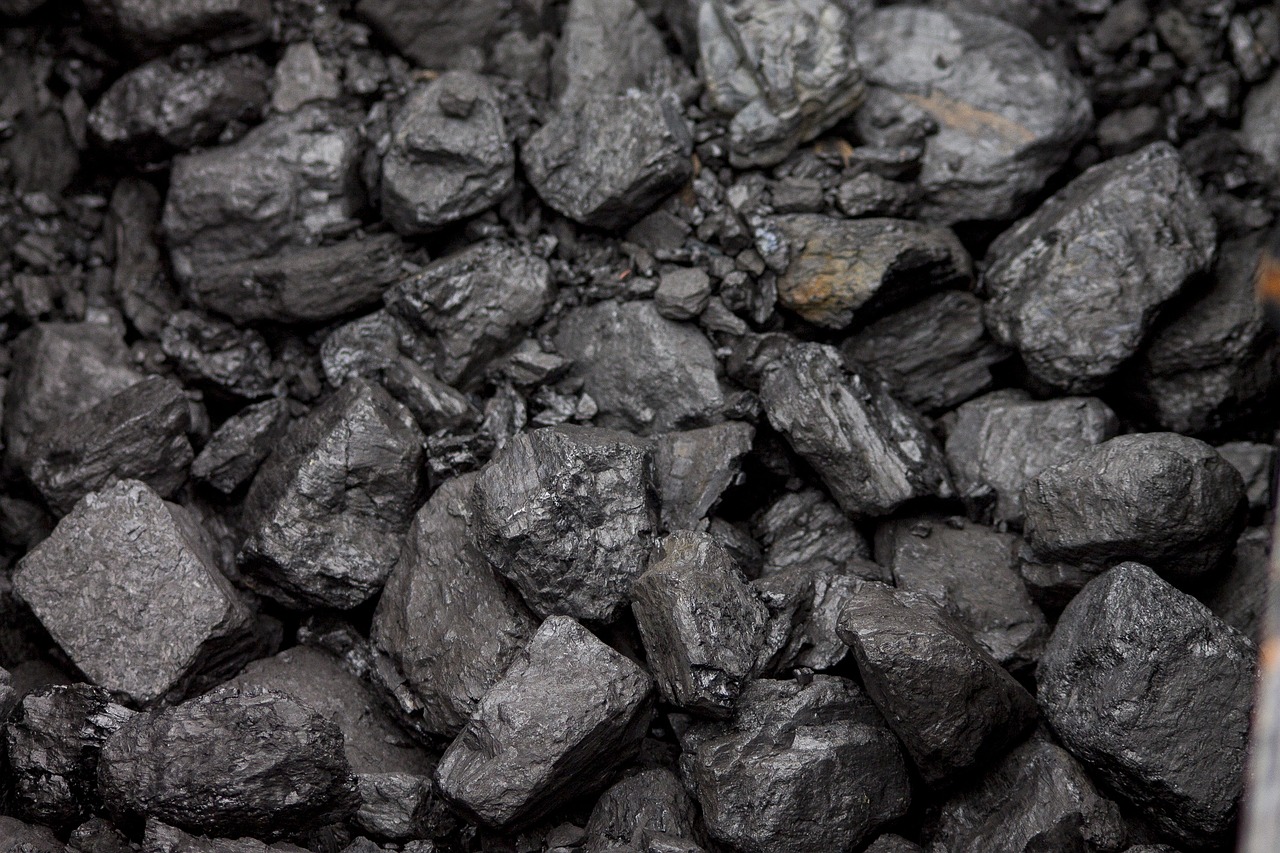 coal, cabbage, burned-842468.jpg